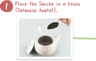 Place the Sencha in a kyusu (Japanese teapot).