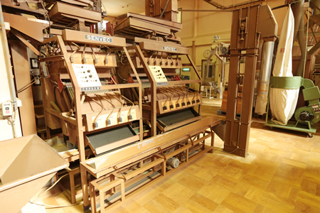 Electronic color sorting machine