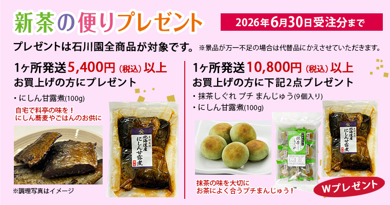 春のお茶便りプレゼント